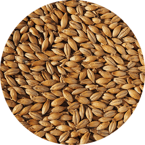 Malte Best Ale - Crisp