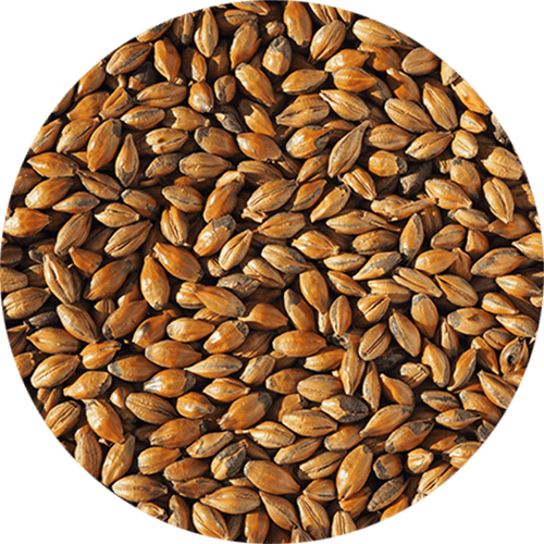 Malte Brown - Crisp
