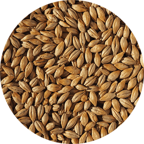 Malte Dextrin - Crisp