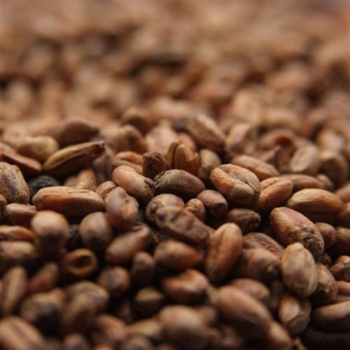 Malte Carawheat® - Weyermann