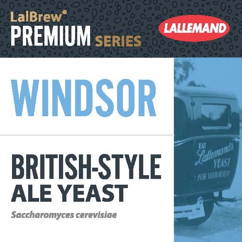 Fermento Windsor - Lallemand