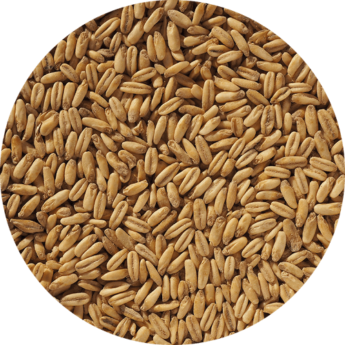Malte de Aveia Naked - Crisp